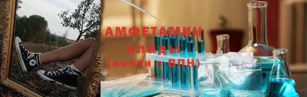 ПСИЛОЦИБИНОВЫЕ ГРИБЫ Верея