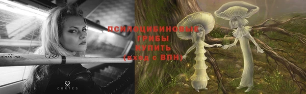 дурь Верхний Тагил