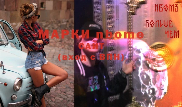 ПСИЛОЦИБИНОВЫЕ ГРИБЫ Верея