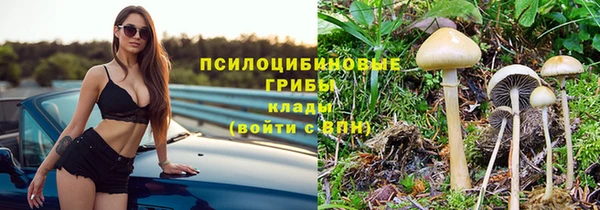 ПСИЛОЦИБИНОВЫЕ ГРИБЫ Верея