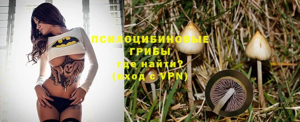 ПСИЛОЦИБИНОВЫЕ ГРИБЫ Верея