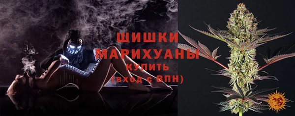 ПСИЛОЦИБИНОВЫЕ ГРИБЫ Верея