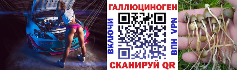 Псилоцибиновые грибы GOLDEN TEACHER  Купить  Электросталь 